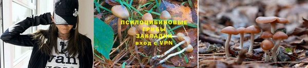 марки lsd Алзамай